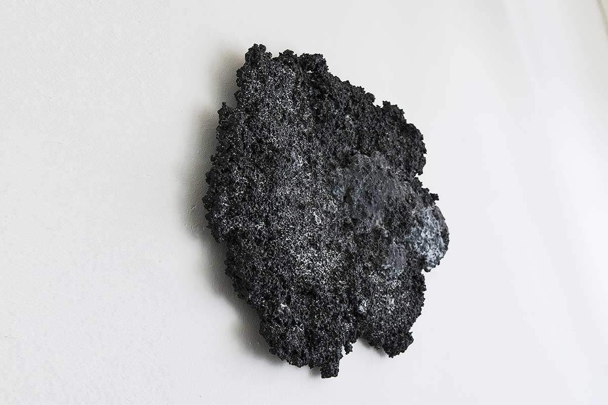 a dark, organic shaped, abstract sculpture on a wall