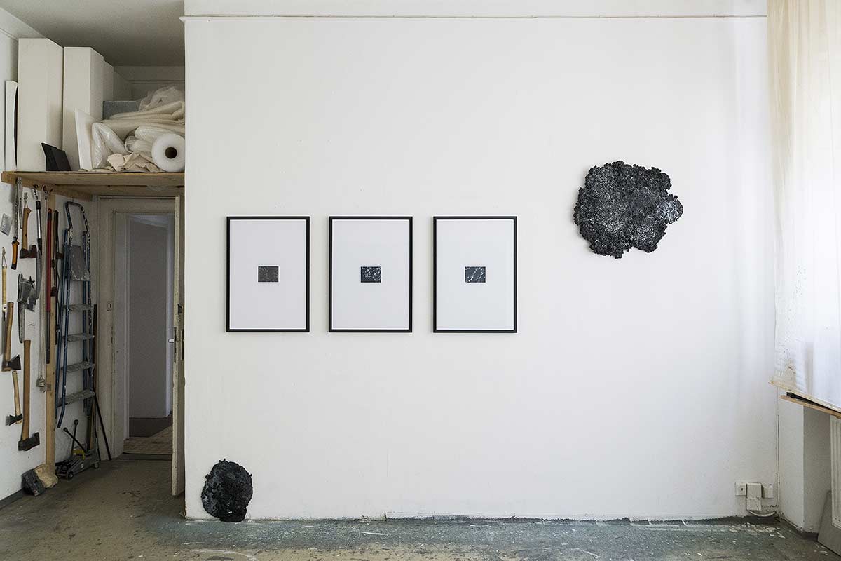 two dark, round, abstract sculptures on a wall next to three microscope photographs in black frames